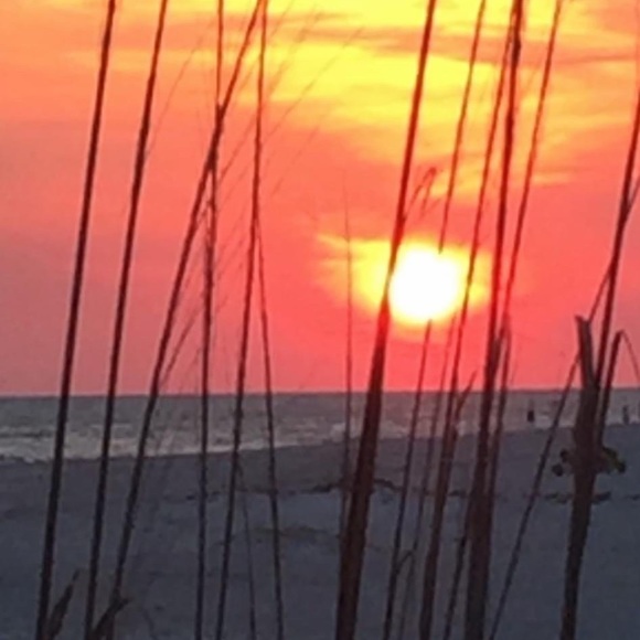 Meet your shopper n posher - Picture 14 of 16